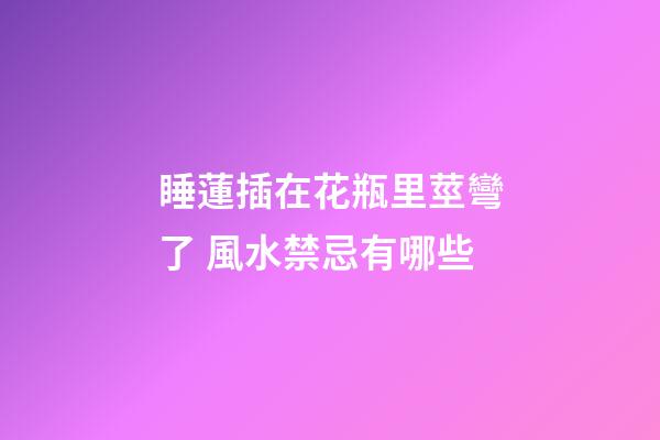 睡蓮插在花瓶里莖彎了 風水禁忌有哪些